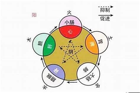 旭五行|旭在八字中有什么意思 (旭字的五行属性是什么)